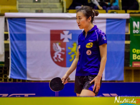 Znamy rywali w Lidze Mistrzyń. KTS Enea Siarka rozstawiony z „dwójką”