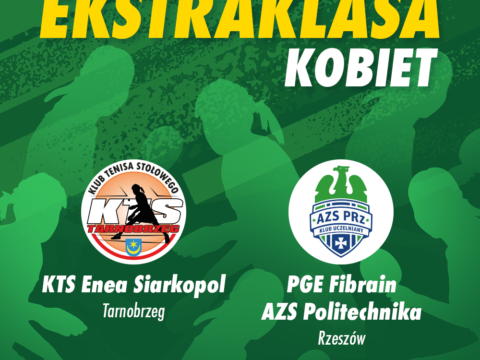 KTS Enea Siarkopol Tarnobrzeg vs PGE Fibrain AZS Politechnika Rzeszów
