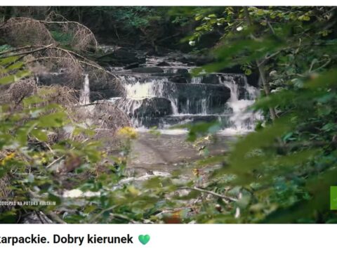 Podkarpackie. Dobry kierunek