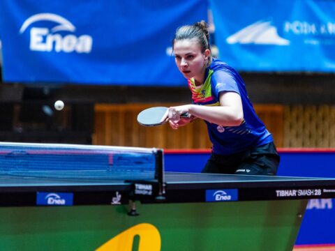 KTS Enea Siarkopol Tarnobrzeg – Bebetto AZS UJD Częstochowa 1:3